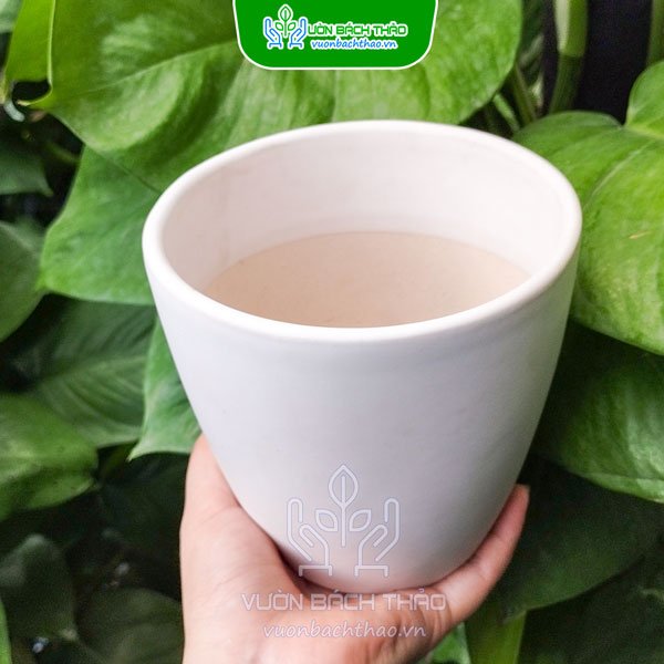 Chậu Sứ Bom Để Bàn 2