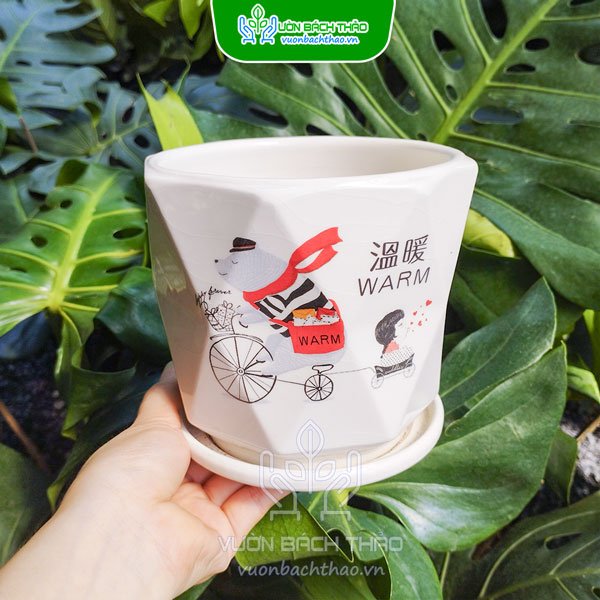 Chậu Sứ Trồng Cây Để Bàn Kèm Đĩa Lót 3