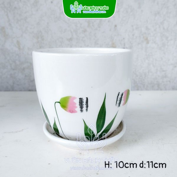 Chậu Sứ Trồng Cây Để Bàn Kèm Đĩa Lót 2