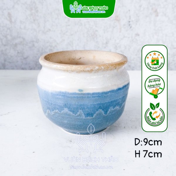 Chậu Gốm Sứ Hình Lu Trồng Cây