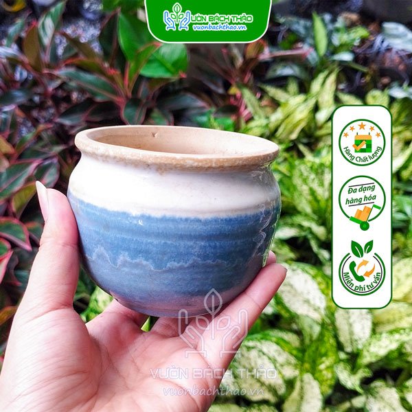 Chậu Gốm Sứ Hình Lu Trồng Cây 2