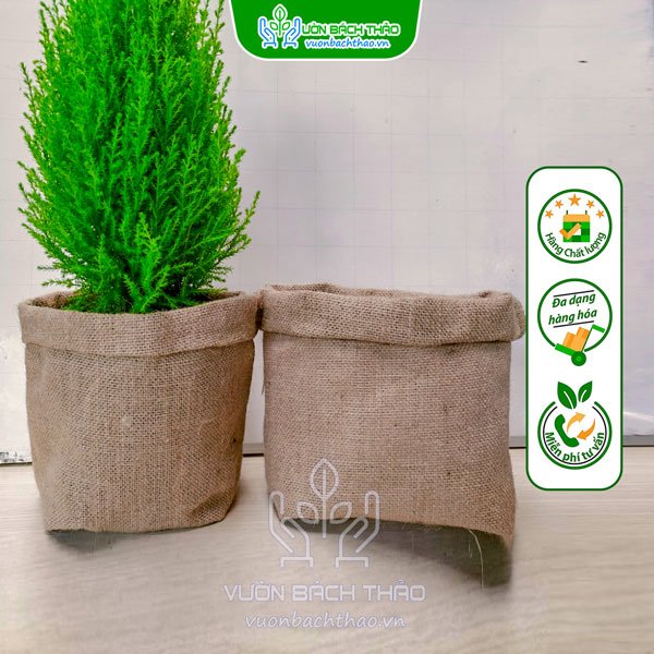 Túi Bao Bố Trang Trí Cây Cảnh, Túi Vải Bố Đựng Nhiều Kích Cỡ 2