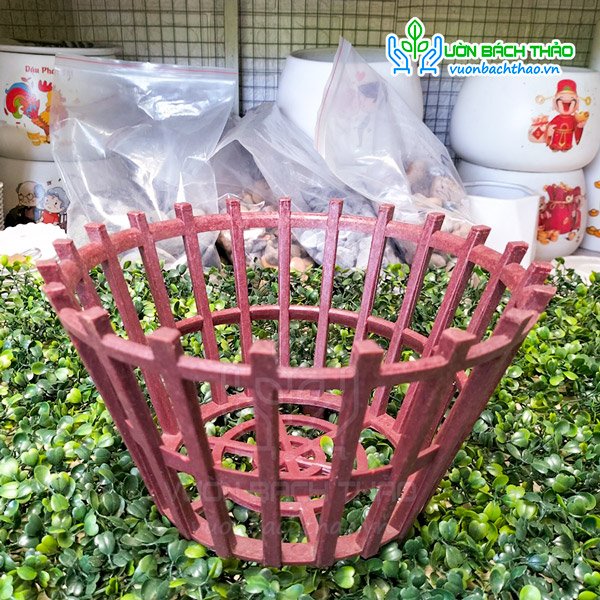 Chậu Nhựa Giả Gỗ Trồng Cây Phong Lan 2