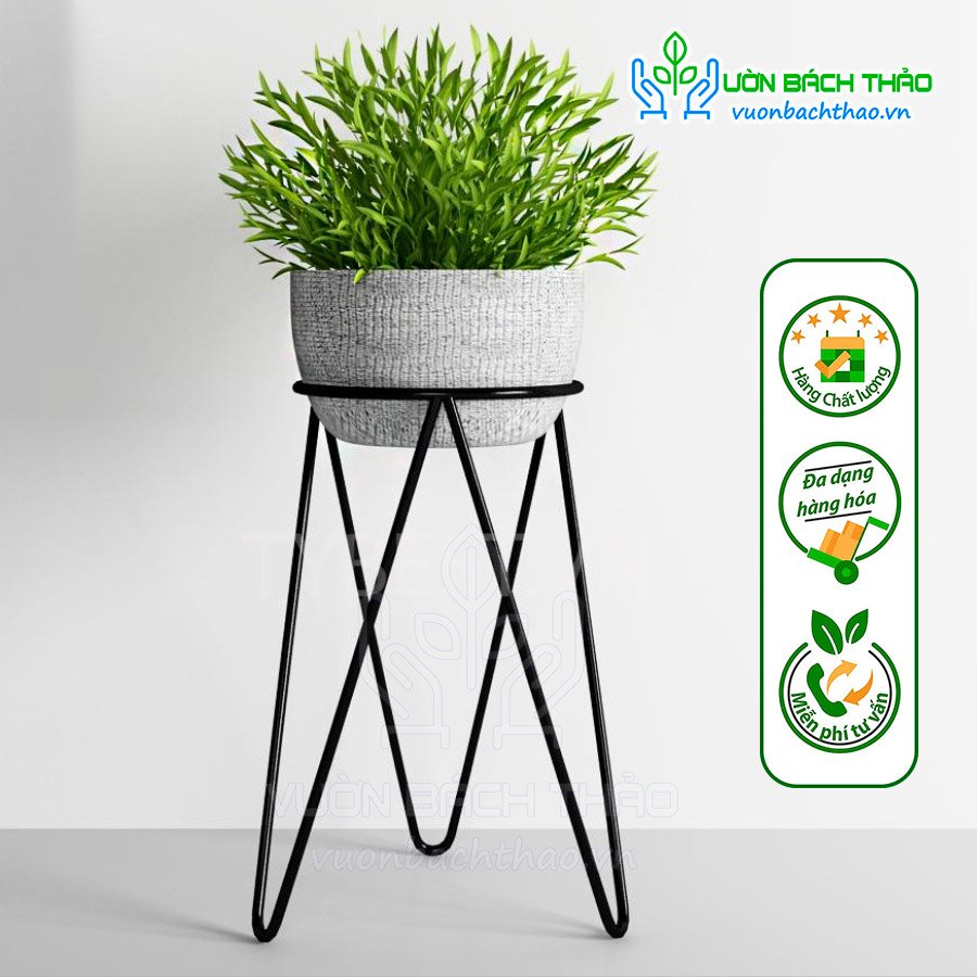 Chân Đế Sắt Kê Chậu Cây Cao 27cm