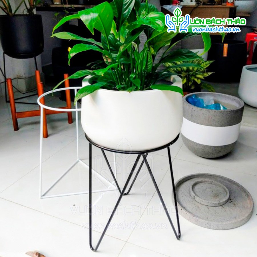 Chân Đế Sắt Kê Chậu Cây Cao 27cm 2