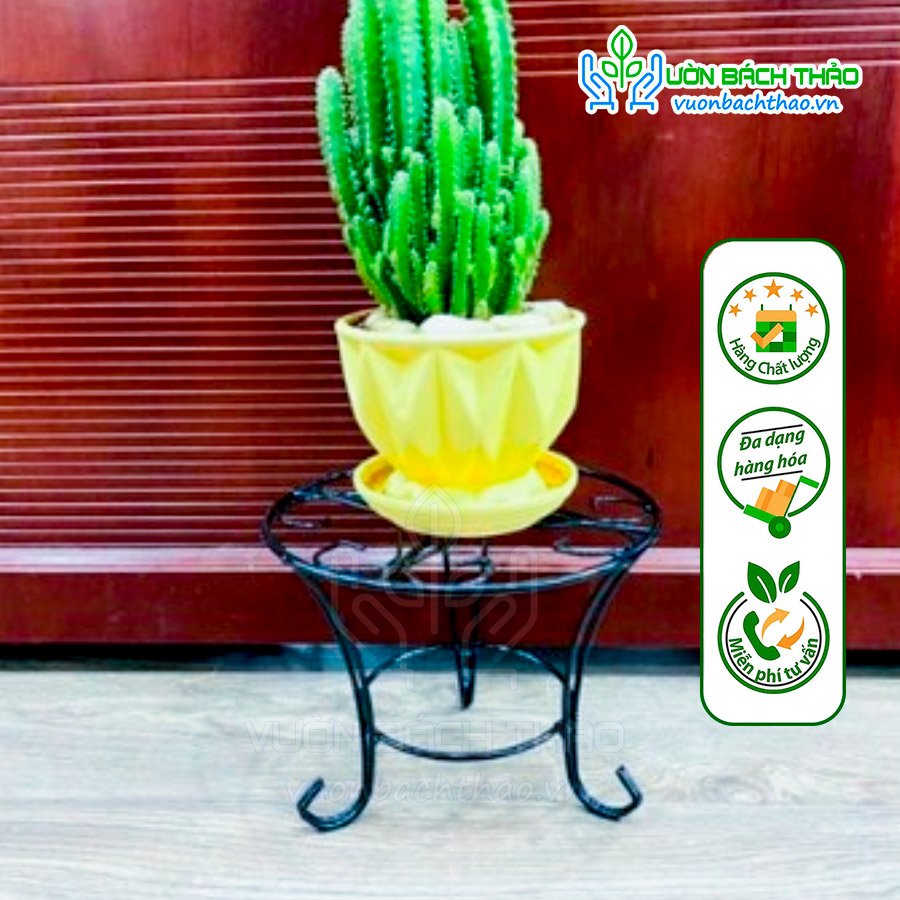 Chân Đế Sắt Kê Chậu Cây Cảnh 2