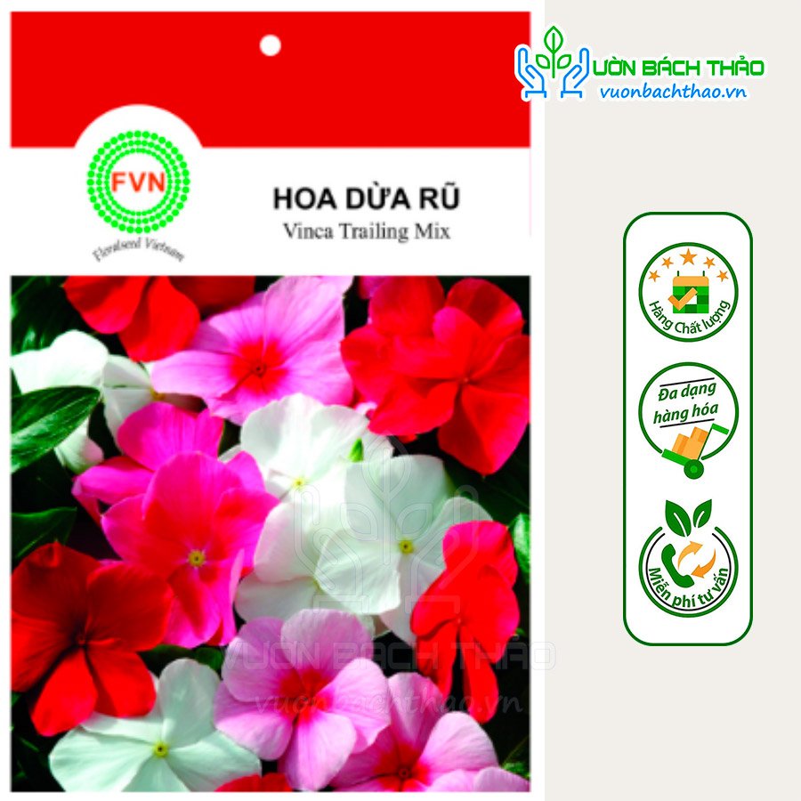 Hạt Giống Hoa Dừa Cạn Rũ Nhiều Màu FVN