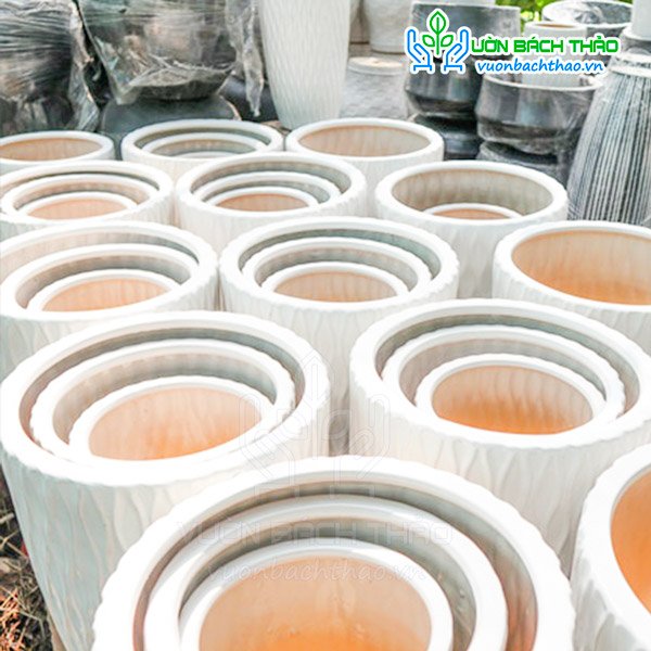 Chậu Sứ Bom Mắc Lưới Trồng Cây 2