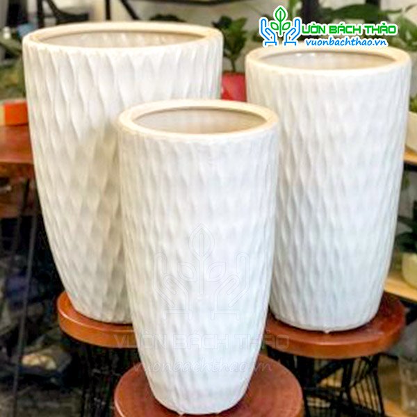 Chậu Sứ Bom Mắc Lưới Trồng Cây 3