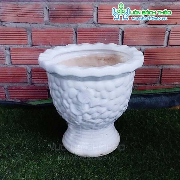 Chậu Ly Sứ Trồng Cây 38x42cm 2