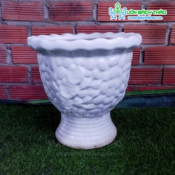 Chậu Ly Sứ Trồng Cây 38x42cm 3