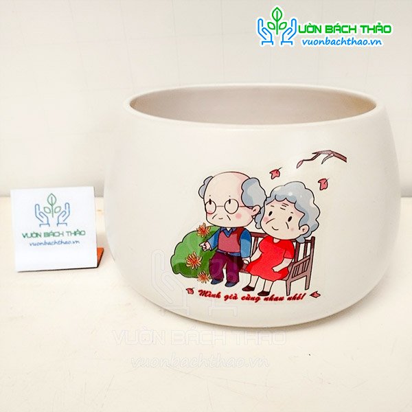 Chậu Hạt Dẻ Trồng Cây Để Bàn 3