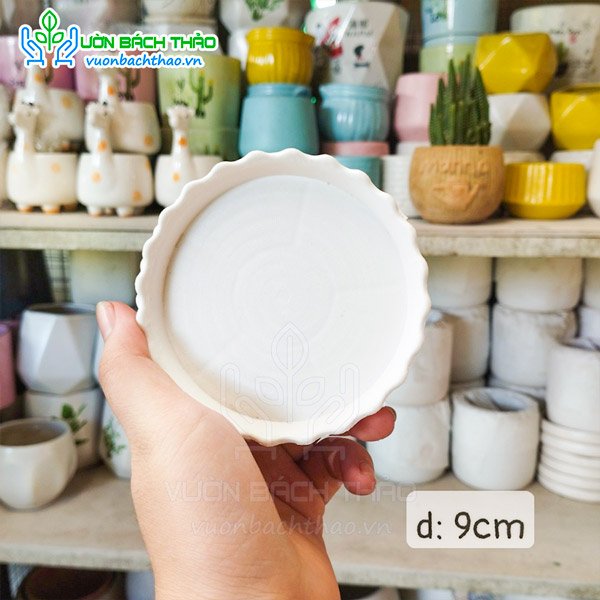 Dĩa nhựa lót đáy chậu nhiều size 3