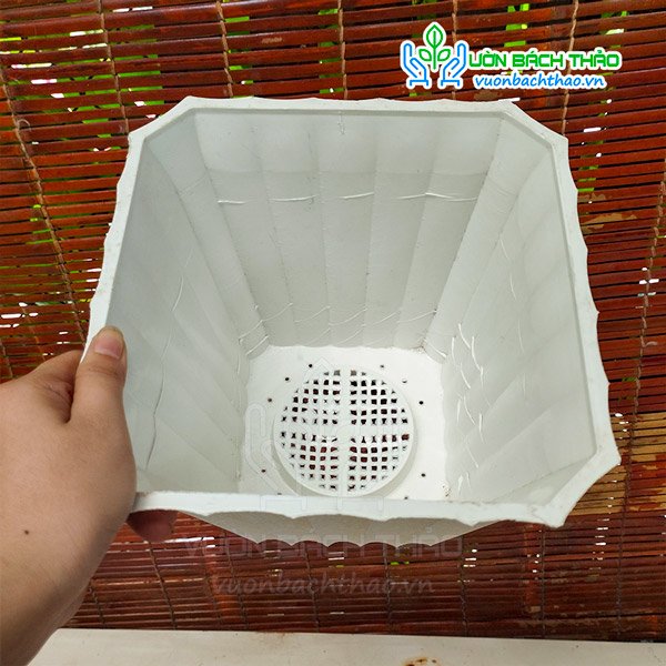 Chậu Nhựa Khía Vuông Trồng Cây 2
