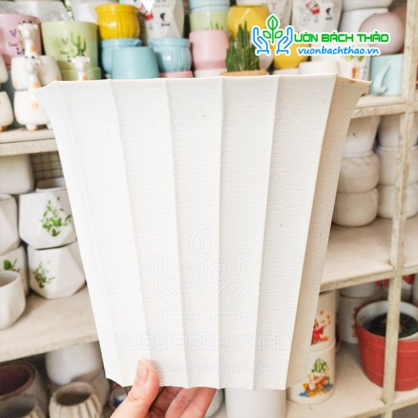 Chậu Nhựa Khía Vuông Trồng Cây 3