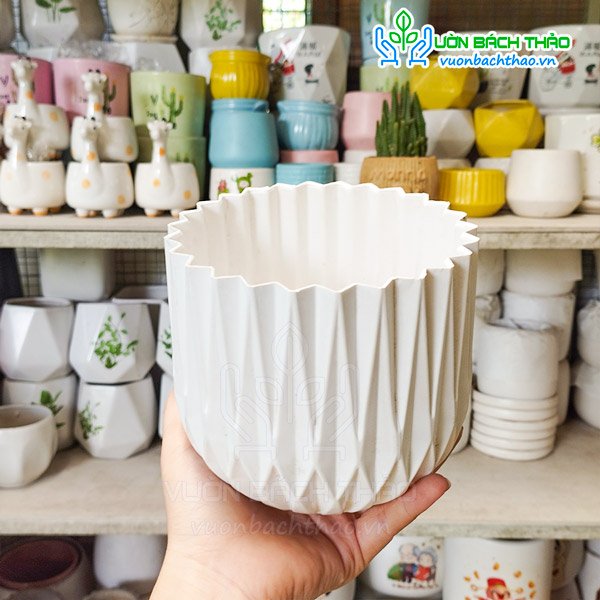 Chậu Nhựa Kim Cương Trồng Cây Để Bàn 12x13cm 3