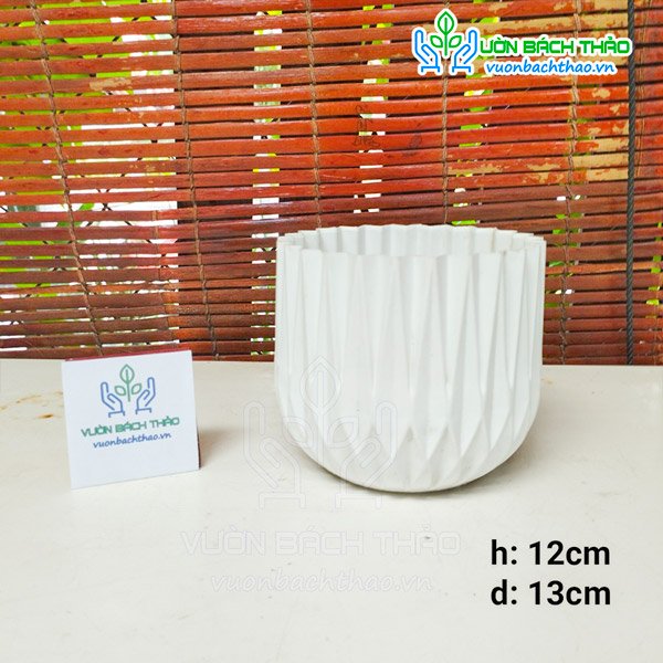 Chậu Nhựa Kim Cương Trồng Cây Để Bàn 12x13cm 2