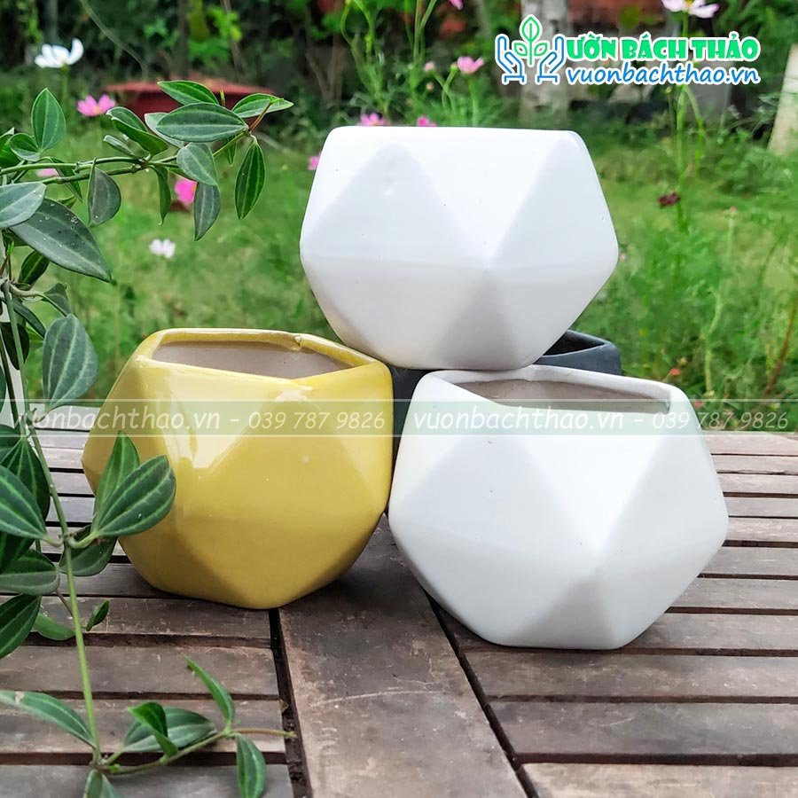 Chậu Sứ Trồng Cây Để Bàn Mini 05 2