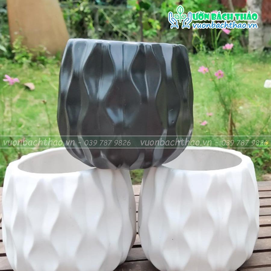 Chậu Sứ Trồng Cây Để Bàn Mini 09 2