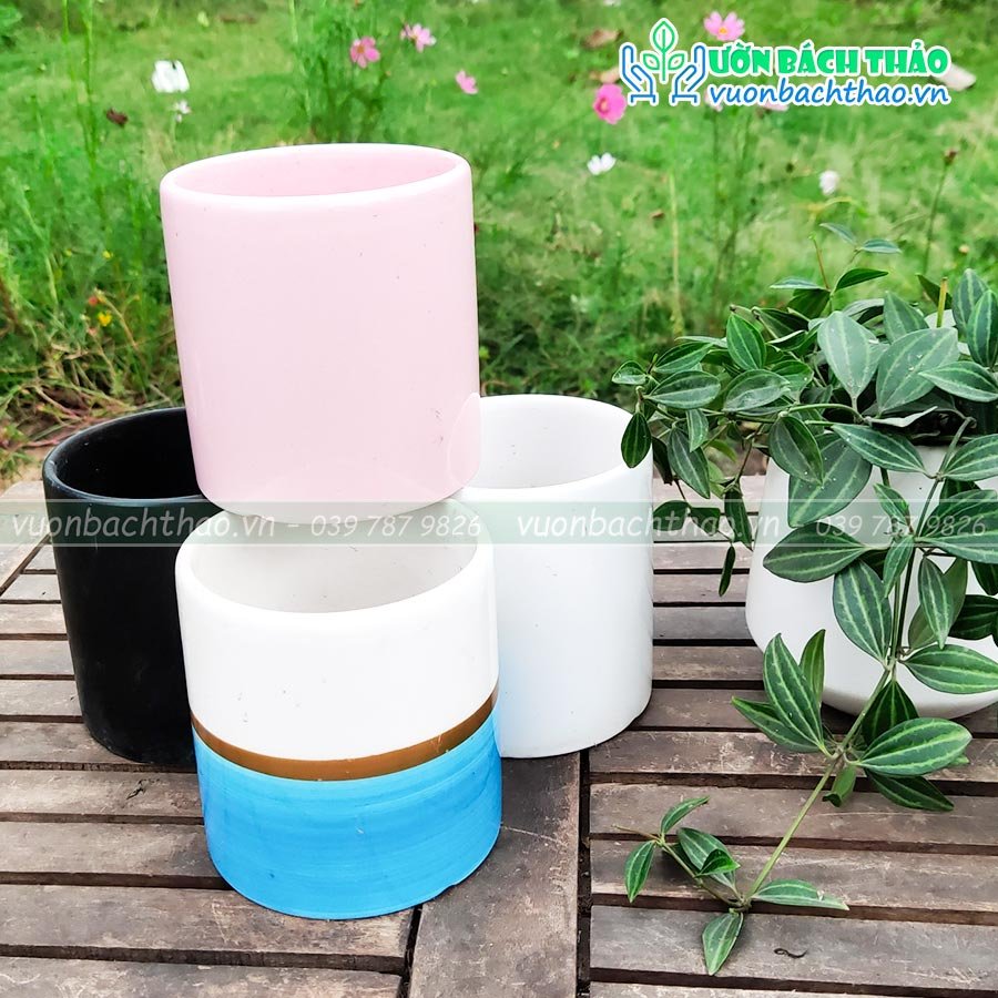 Chậu Sứ Trồng Cây Để Bàn Mini 10 2