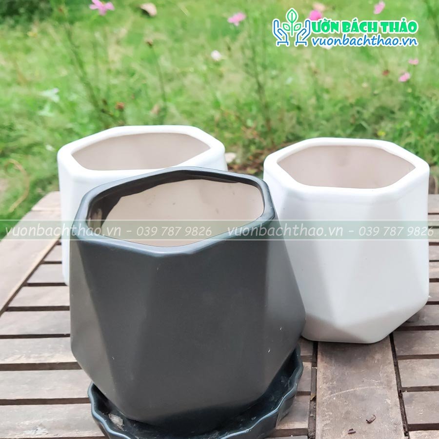 Chậu Sứ Trồng Cây Mini Để Bàn 08 2