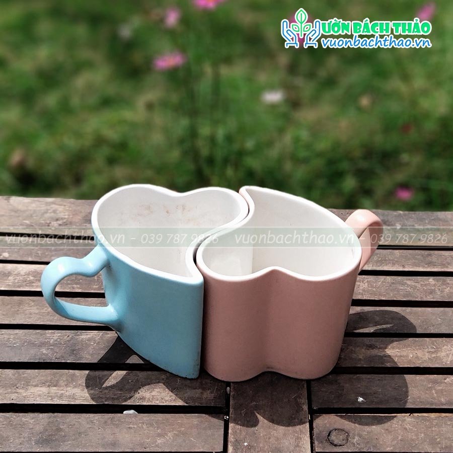 Chậu Trồng Cây Để Bàn Tình Yêu (Chậu Cặp Đôi) 3