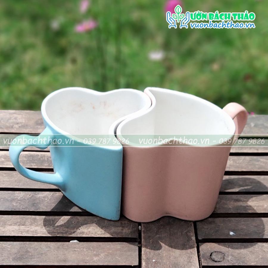 Chậu Trồng Cây Để Bàn Tình Yêu (Chậu Cặp Đôi)