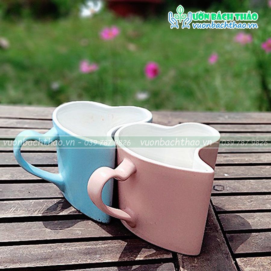 Chậu Trồng Cây Để Bàn Tình Yêu (Chậu Cặp Đôi) 2