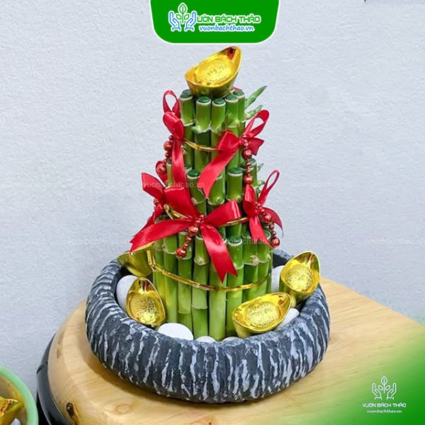 Cây Phát Lộc Tầng