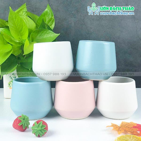 Chậu Sứ Kim Cương Mini