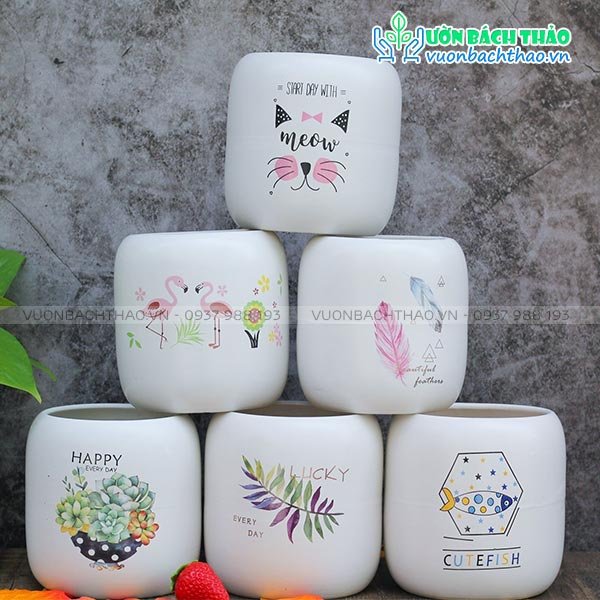 Chậu Sứ Bom Mini