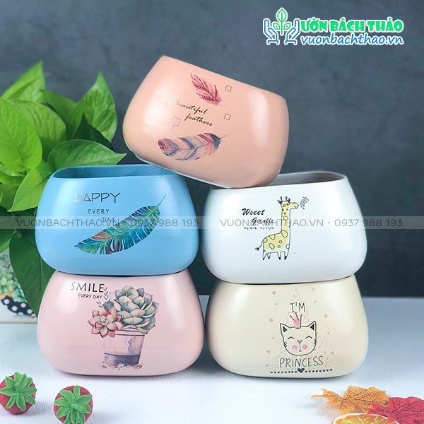Chậu Sứ Hạt Dẻ Mini