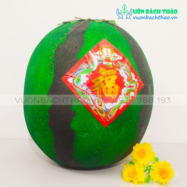 Quả Dưa Hấu Trang Trí Tết