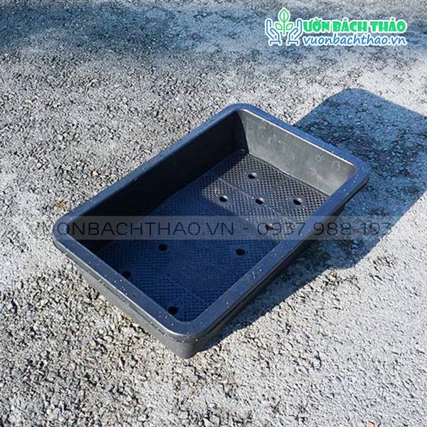 Khay Nhựa Trồng Rau Sạch