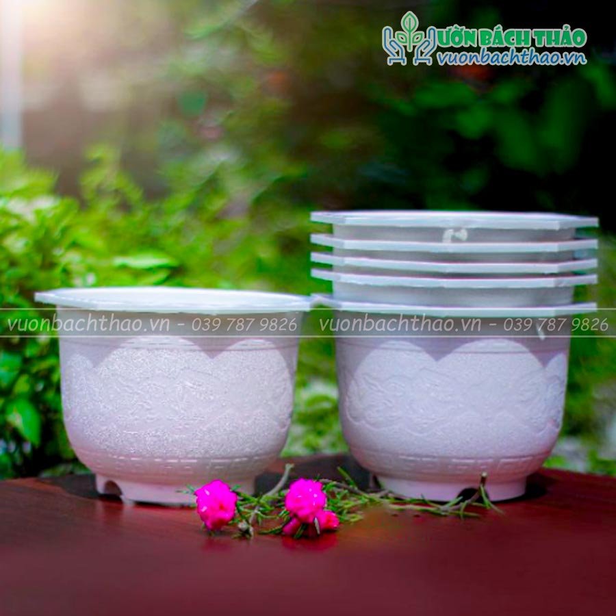 Chậu Nhựa Treo Trồng Cây 2