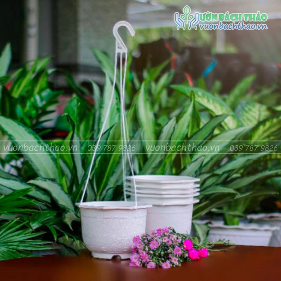 Chậu Nhựa Treo Trồng Cây 3