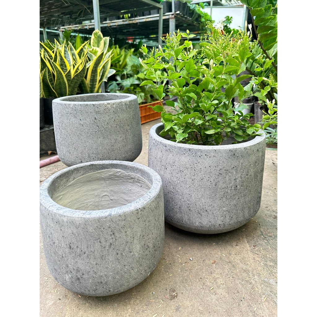 [CHỈ GIAO HOẢ TỐC] CHẬU XI MĂNG NHẸ BẦU THẤP 2 SIZE (20CM, 25CM), chậu trồng cây, chậu decor, Cây Tươi Nguyên 2