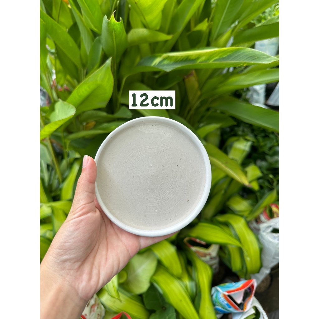 ĐĨA LÓT CHẬU TRÁNG MEN/ SỨ, đĩa lót chậu cây hình tròn nhiều kích thước 3