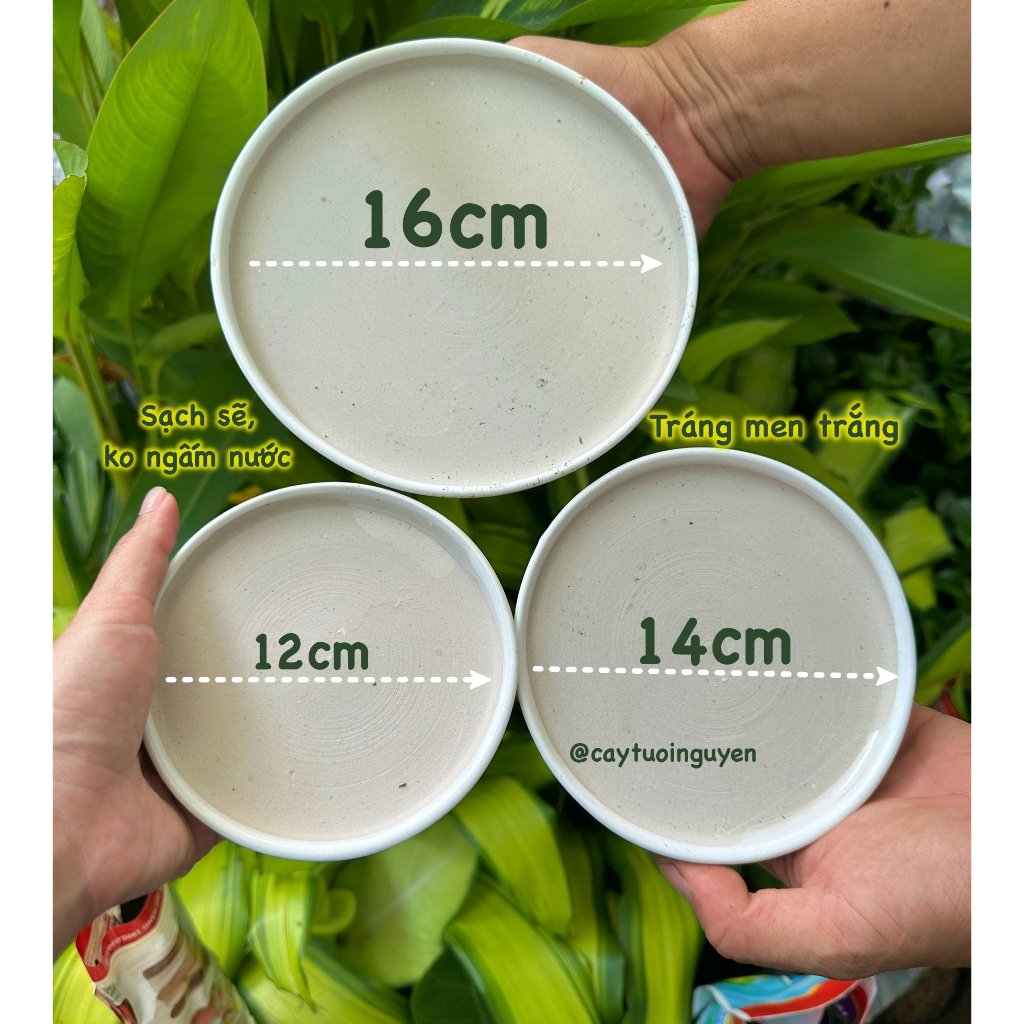 ĐĨA LÓT CHẬU TRÁNG MEN/ SỨ, đĩa lót chậu cây hình tròn nhiều kích thước 2