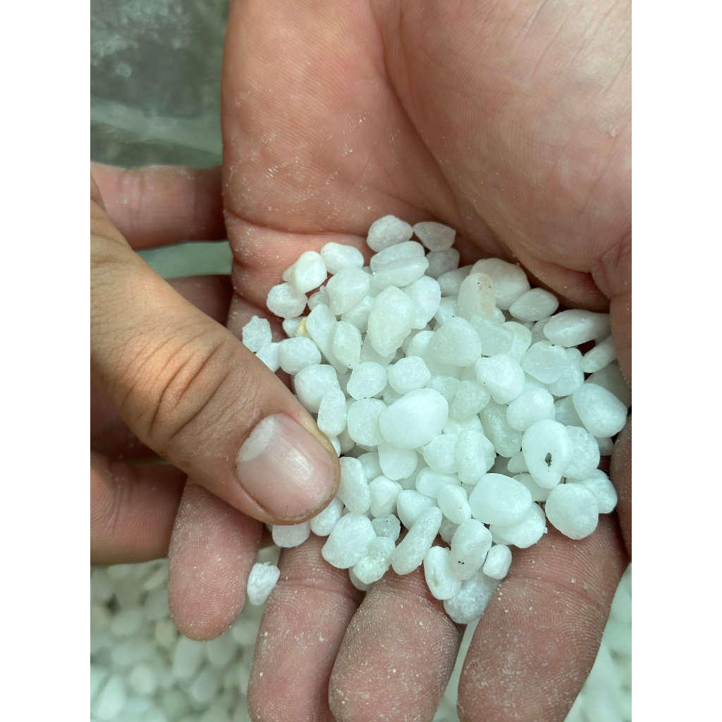 SỎI TRẮNG, rải gốc cây cảnh, trang trí bể cá, lót nền, tăng tính thẩm mĩ, giảm bắn nước khi tưới 2