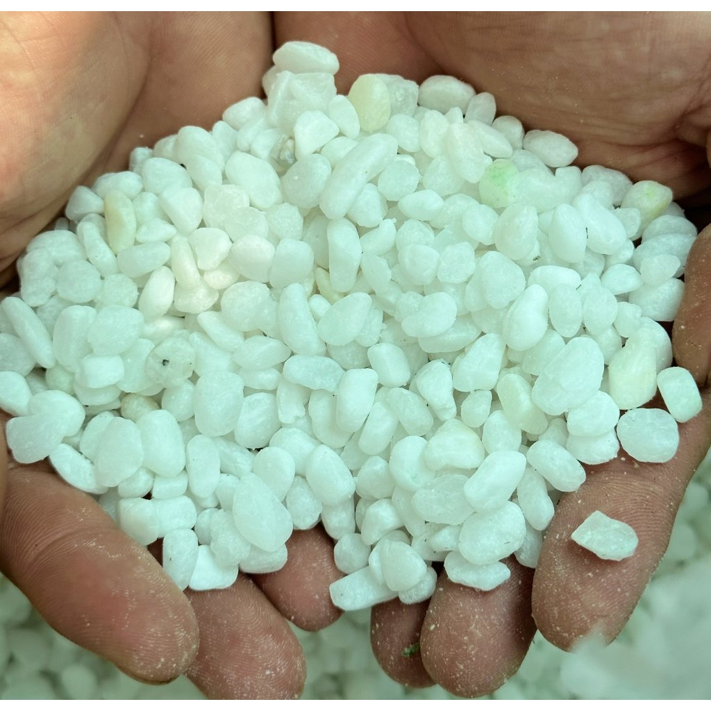 SỎI TRẮNG, rải gốc cây cảnh, trang trí bể cá, lót nền, tăng tính thẩm mĩ, giảm bắn nước khi tưới 3