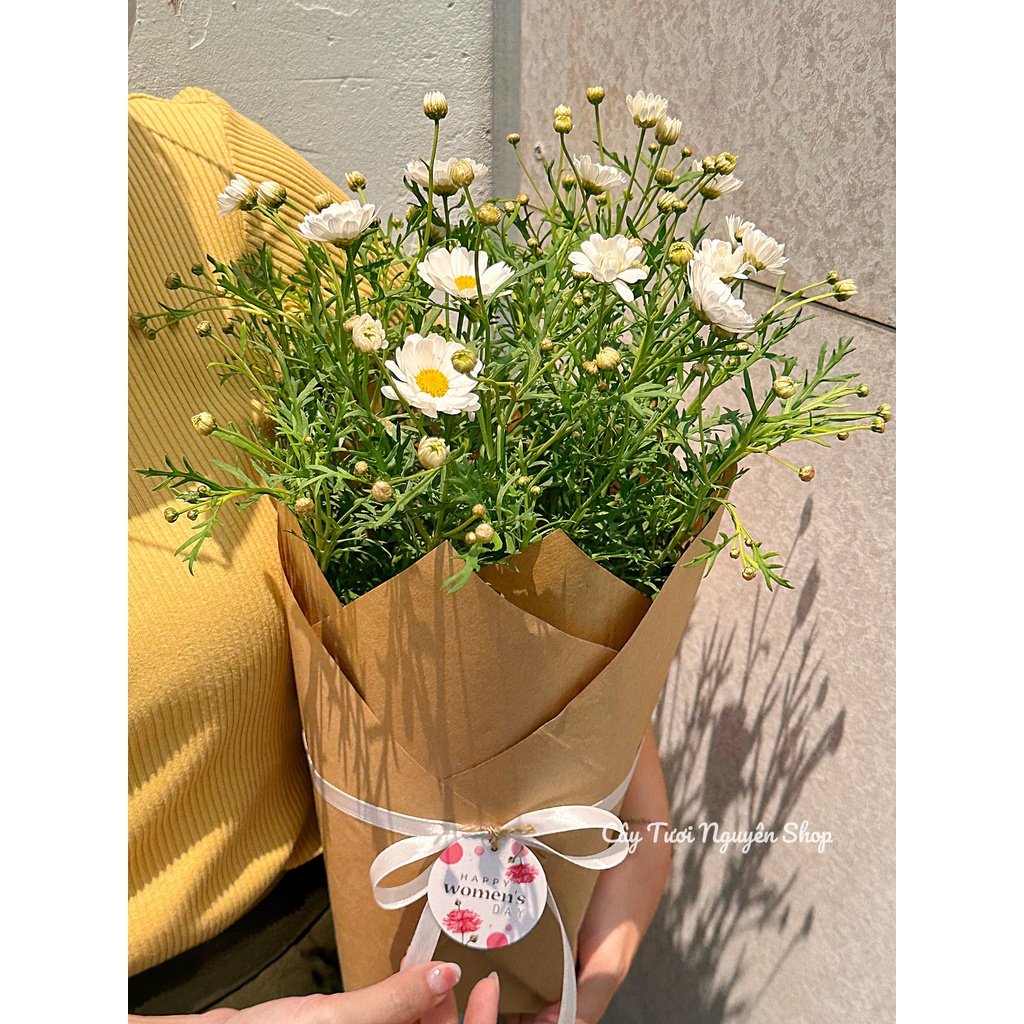 [HOẢ TỐC-QUÀ 8/3] CHẬU CÚC HOẠ MI, gói giấy kraft xinh xắn, làm quà tặng, chậu cây để bàn dễ thương, phong cách Hàn quốc 3