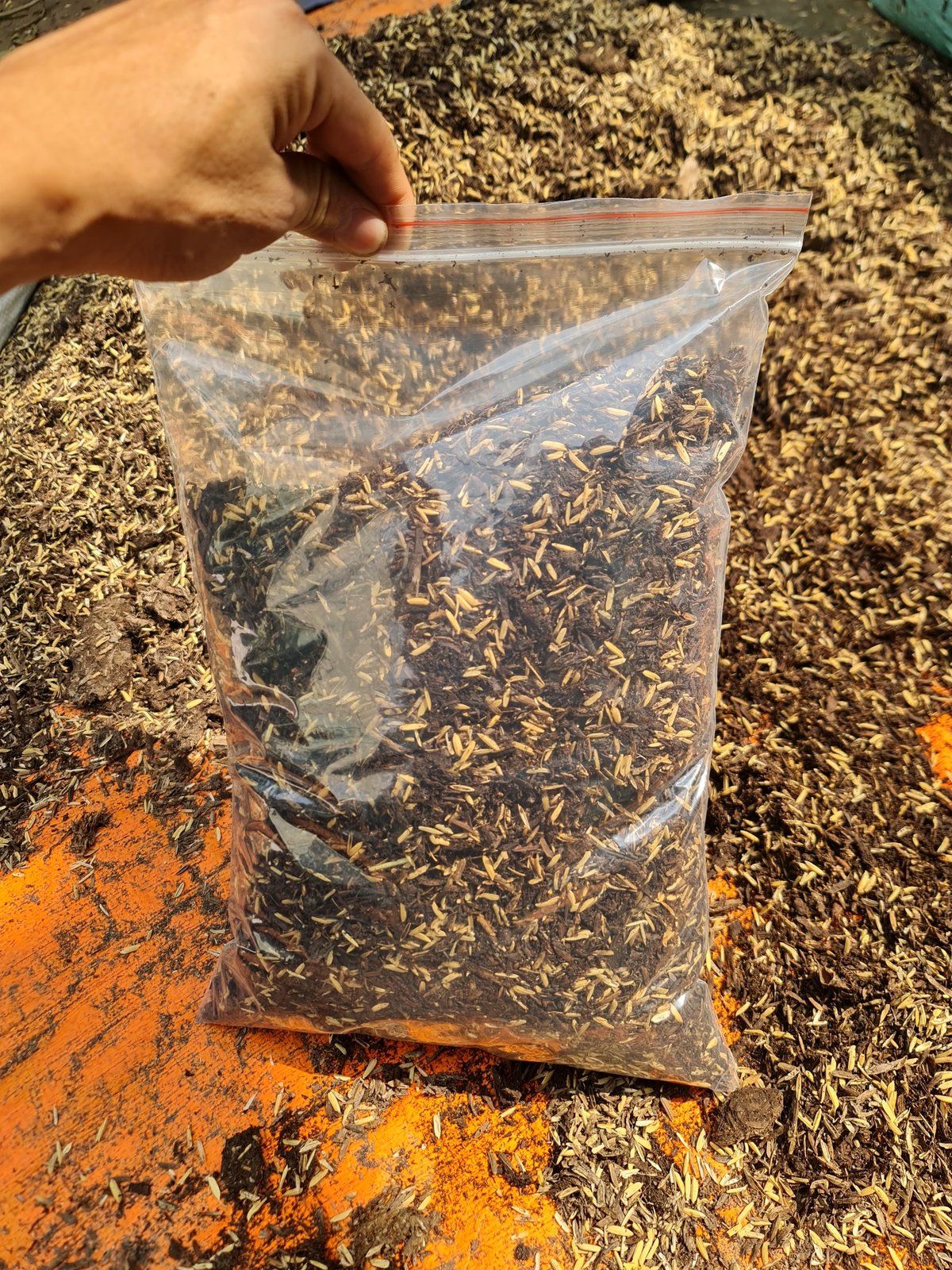 PHÂN RƠM TRỘN SẴN TÚI 1KG, giá thể phù hợp đa số kiểng lá, hoa, cây cảnh, đựng túi zip sạch sẽ tiện lợi, Cây Tươi Nguyên 3