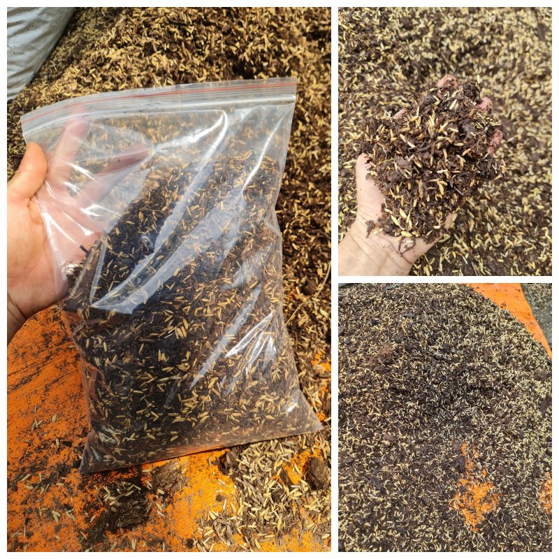 PHÂN RƠM TRỘN SẴN TÚI 1KG, giá thể phù hợp đa số kiểng lá, hoa, cây cảnh, đựng túi zip sạch sẽ tiện lợi, Cây Tươi Nguyên 2