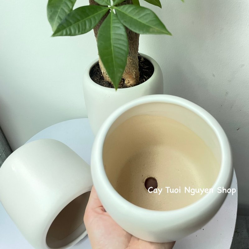 CHẬU TRÁNG MEN BO TRÒN MIỆNG 9.5*11CM, (1 chậu),chậu trồng cây, trang trí nội thất, Cây Tươi Nguyên CTN1497 3