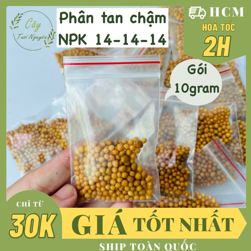 PHÂN TAN CHẬM HẠT VÀNG NPK 14-14-14 (1 GÓI 10G), chuyên dùng cho kiểng lá, cây kiểng nội thất, Cây Tươi Nguyên