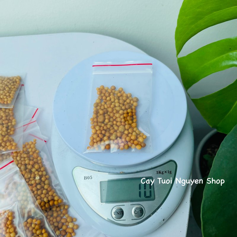 PHÂN TAN CHẬM HẠT VÀNG NPK 14-14-14 (1 GÓI 10G), chuyên dùng cho kiểng lá, cây kiểng nội thất, Cây Tươi Nguyên 3