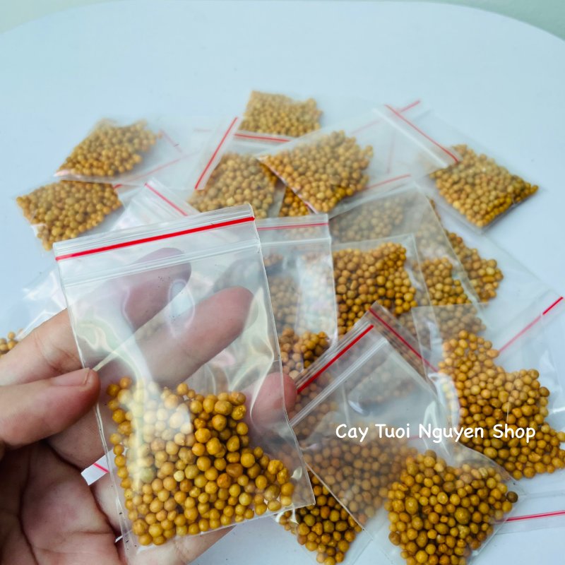 PHÂN TAN CHẬM HẠT VÀNG NPK 14-14-14 (1 GÓI 10G), chuyên dùng cho kiểng lá, cây kiểng nội thất, Cây Tươi Nguyên 2