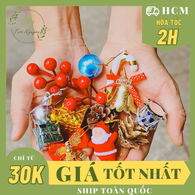 SET 12 MÓN TRANG TRÍ NOEL cực xinh TẶNG KÈM 1 KRAFT, trang trí cây noel mini, trang trí cây giáng sinh để bàn CTN0770