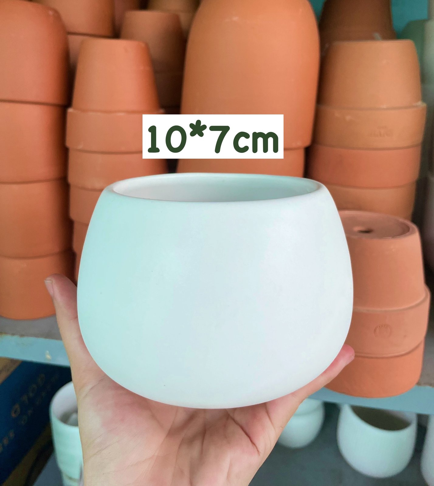 CHẬU HẠT DẺ TRÁNG MEN TRẮNG 10*7cm (1 chậu), tráng men, chậu cây trong nhà, bền đẹp, Cây Tươi Nguyên CTN1458 2